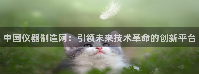 门徒娱乐集团：中国仪器制造网：引领未来技术革命的创新平台