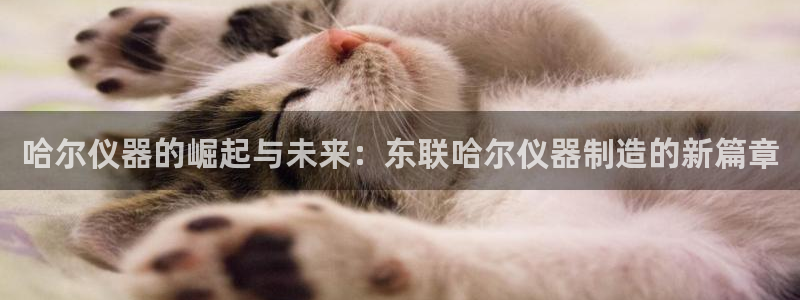 门徒娱乐注册官网：哈尔仪器的崛起与未来：东联哈尔仪器制造的新