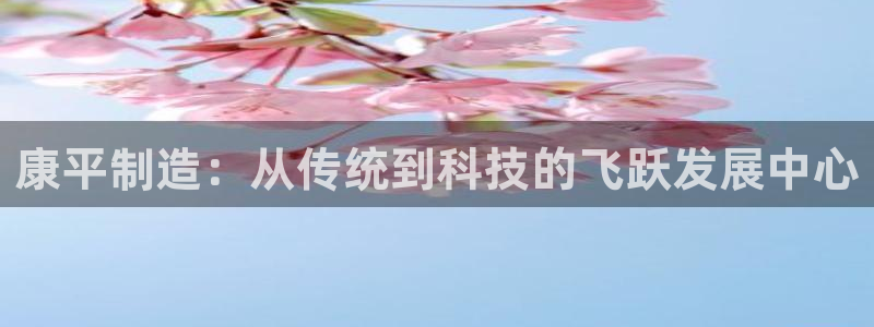 门徒娱乐左：康平制造：从传统到科技的飞跃发展中心