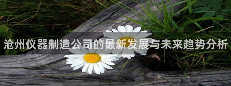 门徒娱乐天原把判官333OO：沧州仪器制造公司的最新发展与未