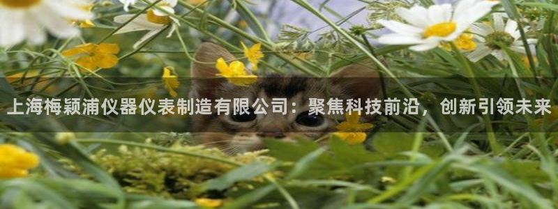 娱乐门徒qidian：上海梅颖浦仪器仪表制造有限公司：聚焦科