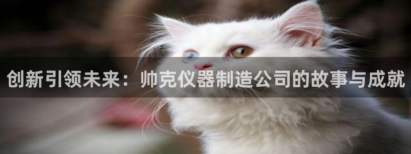 门徒娱乐主管用去判官333OO：创新引领未来：帅克仪器制造公