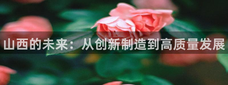 门徒娱乐加 主管39977l6：山西的未来：从创新制造到高质