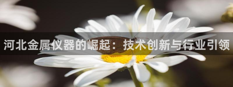 门徒娱乐门徒平台：河北金属仪器的崛起：技术创新与行业引领