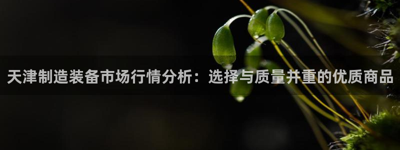 门徒娱乐老板怎么称呼的：天津制造装备市场行情分析：选择与质量