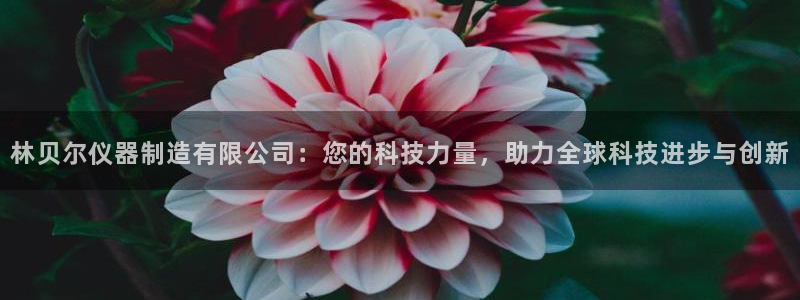 门徒娱乐主管39977l6视频：林贝尔仪器制造有限公司：您的