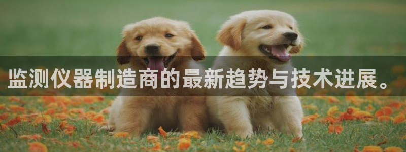 门徒娱乐用户评价与反馈怎么写