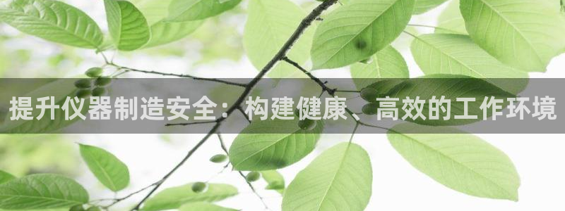 门徒娱乐项目叫什么名称：提升仪器制造安全：构建健康、高效的工