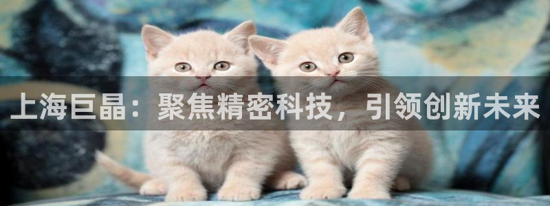 门徒娱乐京彩挂机下载：上海巨晶：聚焦精密科技，引领创新未来