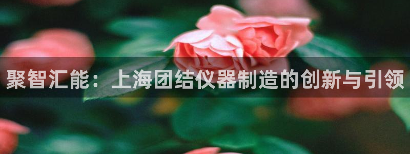 门徒娱乐平台下载安装：聚智汇能：上海团结仪器制造的创新与引领