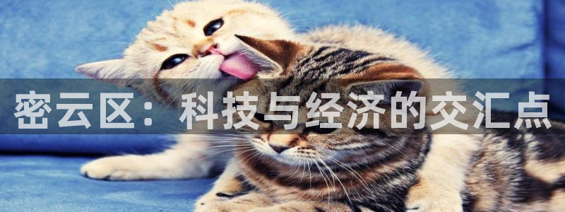 门徒娱乐线路图高清：密云区：科技与经济的交汇点