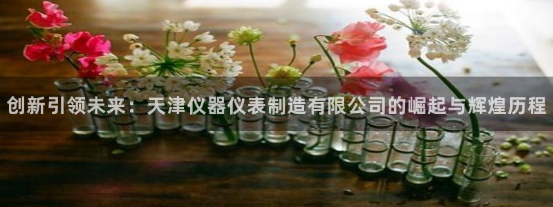 门徒娱乐传媒有限公司：创新引领未来：天津仪器仪表制造有限公司