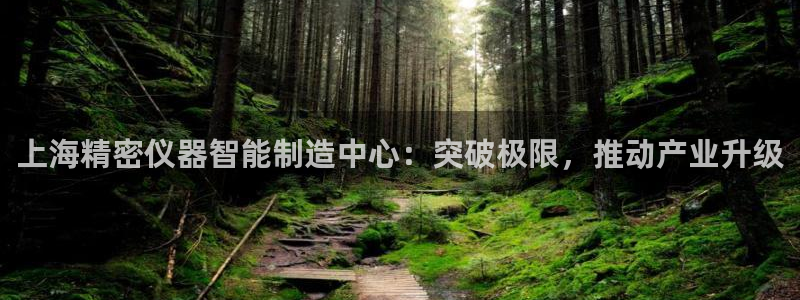 门徒娱乐怎么注册账号的：上海精密仪器智能制造中心：突破极限，