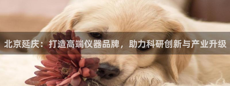娱乐门徒r