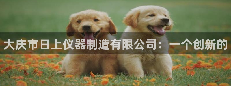 娱乐门徒王梓均简介图片