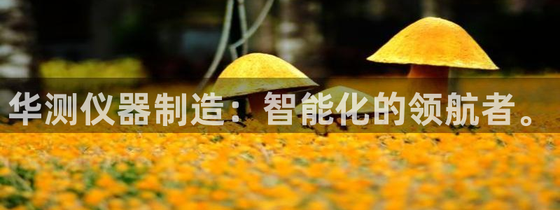 门徒娱乐平台注册时间：华测仪器制造：智能化的领航者。