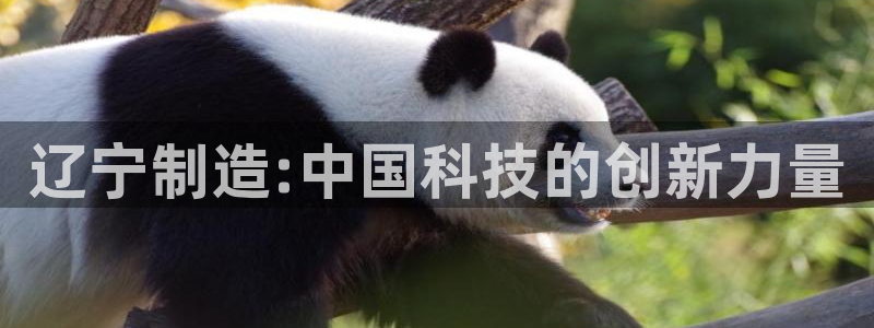 门徒娱乐是真的吗：辽宁制造:中国科技的创新力量