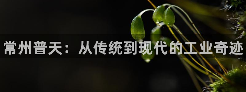门徒娱乐平台代理登录网站：常州普天：从传统到现代的工业奇迹