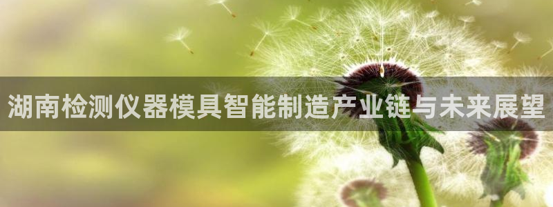 门徒娱乐总代理在哪：湖南检测仪器模具智能制造产业链与未来展望