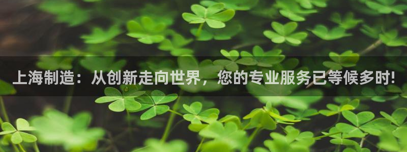 门徒娱乐集团是干嘛的：上海制造：从创新走向世界，您的专业服务