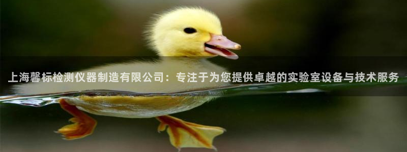 门徒娱乐联37997：上海馨标检测仪器制造有限公司：专注于为