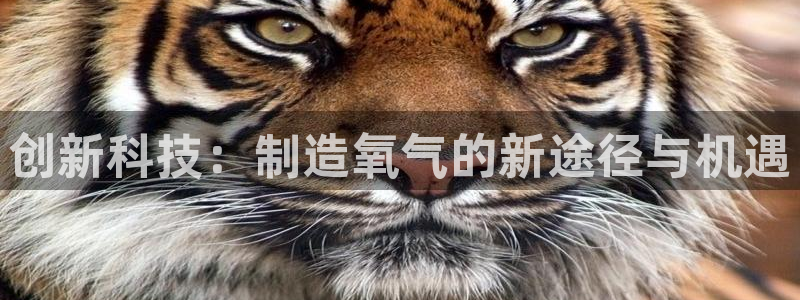 门徒娱乐圈主管报道：创新科技：制造氧气的新途径与机遇