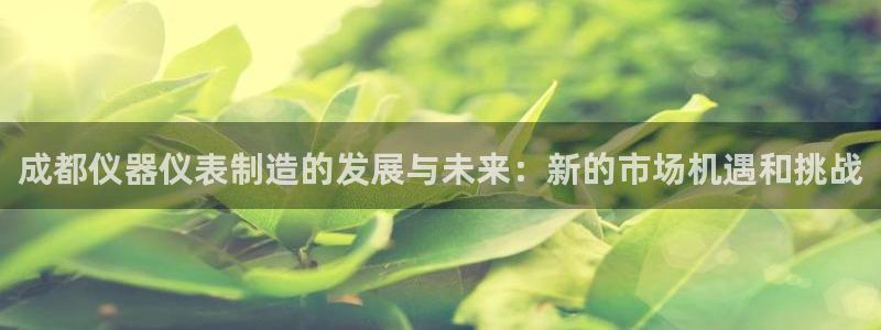 焦点娱乐门徒平台在哪看：成都仪器仪表制造的发展与未来：新的市