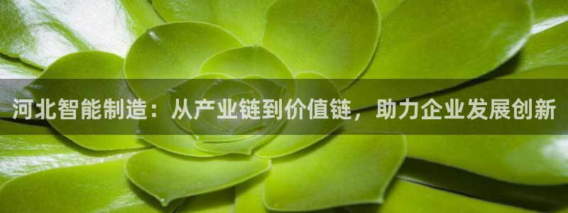 门徒平台娱乐：河北智能制造：从产业链到价值链，助力企业发展创