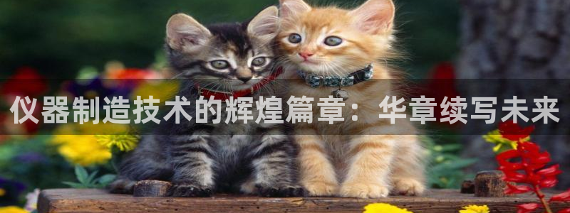 门徒娱乐是不是赌博软件：仪器制造技术的辉煌篇章：华章续写未来