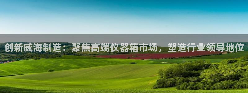 新功夫之王娱乐门徒：创新威海制造：聚焦高端仪器箱市场，塑造行