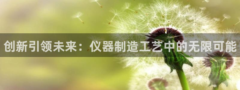 门徒娱乐老板是谁啊：创新引领未来：仪器制造工艺中的无限可能