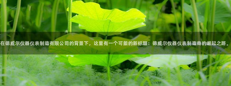 蓝狮和门徒娱乐：在德威尔仪器仪表制造有限公司的背景下，这里有