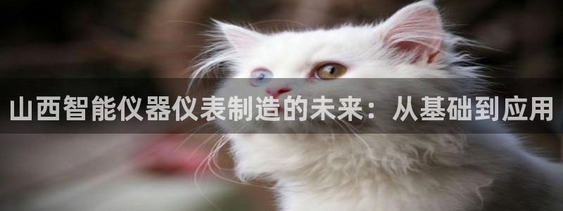 门徒娱乐公司介绍：山西智能仪器仪表制造的未来：从基础到应用