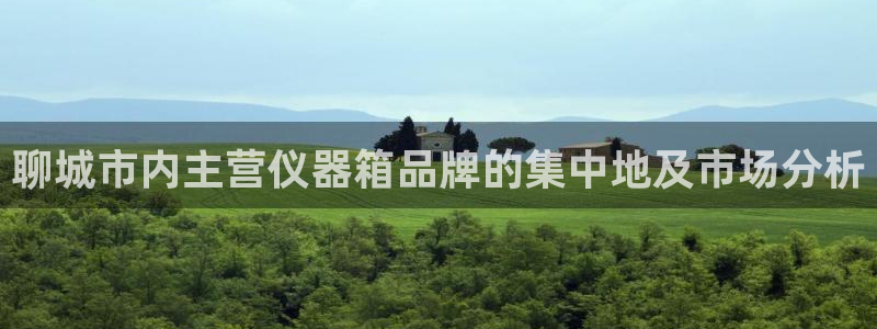 门徒娱乐右：聊城市内主营仪器箱品牌的集中地及市场分析