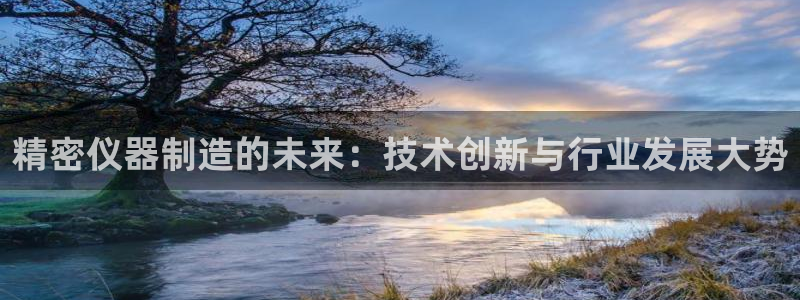 蓝狮和门徒娱乐区别在哪：精密仪器制造的未来：技术创新与行业发
