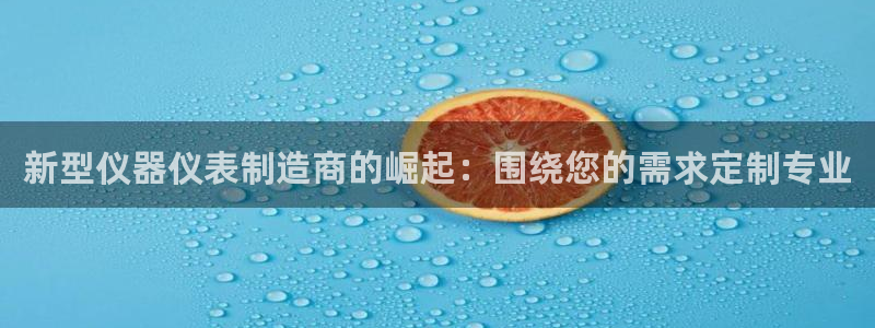 门徒娱乐乞六七五一38：新型仪器仪表制造商的崛起：围绕您的需