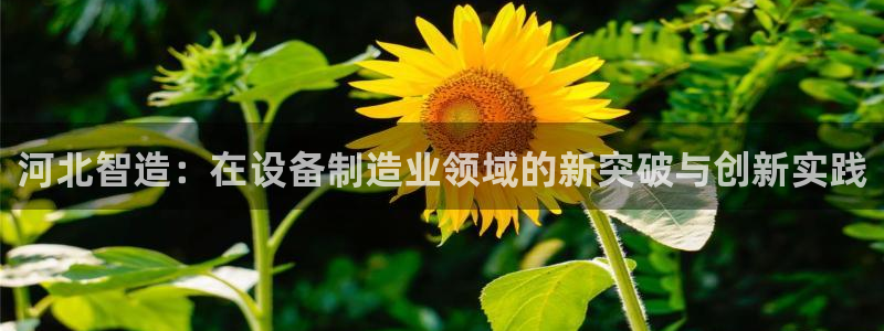 门徒娱乐能挣钱嘛知乎：河北智造：在设备制造业领域的新突破与创