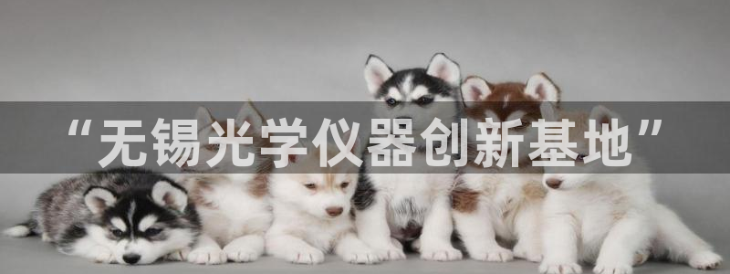 门徒娱乐有人被黑吗：“无锡光学仪器创新基地”