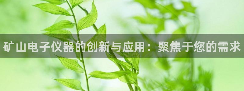 门徒娱乐黑平台：矿山电子仪器的创新与应用：聚焦于您的需求