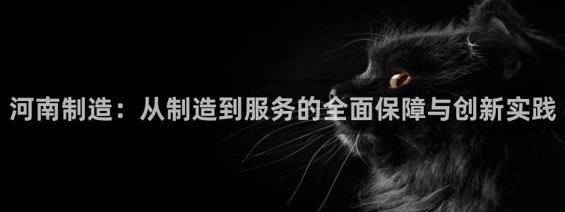门徒娱乐开奖平台官网：河南制造：从制造到服务的全面保障与创新