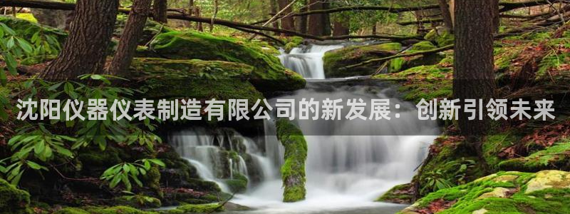 娱乐圈门徒：沈阳仪器仪表制造有限公司的新发展：创新引领未来
