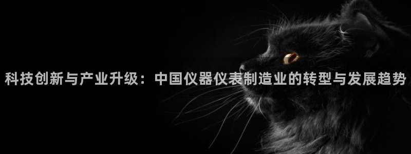 娱乐门徒女主角：科技创新与产业升级：中国仪器仪表制造业的转型