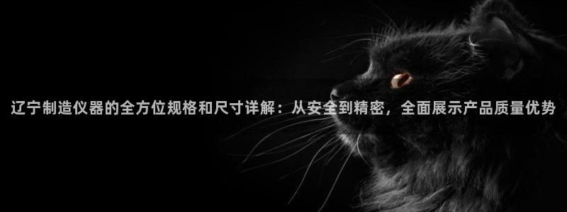 娱乐门徒登录网站入口：辽宁制造仪器的全方位规格和尺寸详解：从