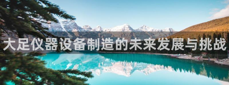 门徒娱乐系列小说推荐：大足仪器设备制造的未来发展与挑战