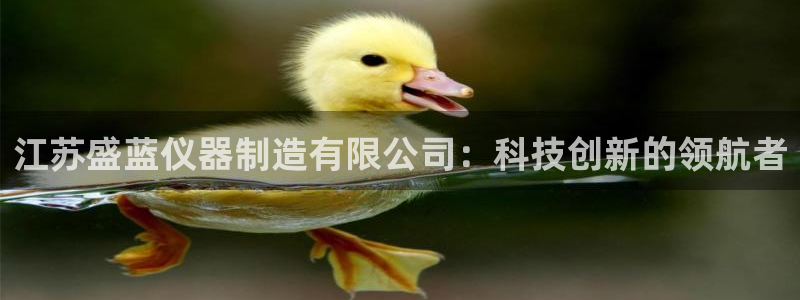 门徒娱乐登陆网站是什么：江苏盛蓝仪器制造有限公司：科技创新的