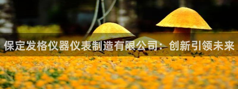 门徒娱乐总代理电话号码查询：保定发格仪器仪表制造有限公司：创