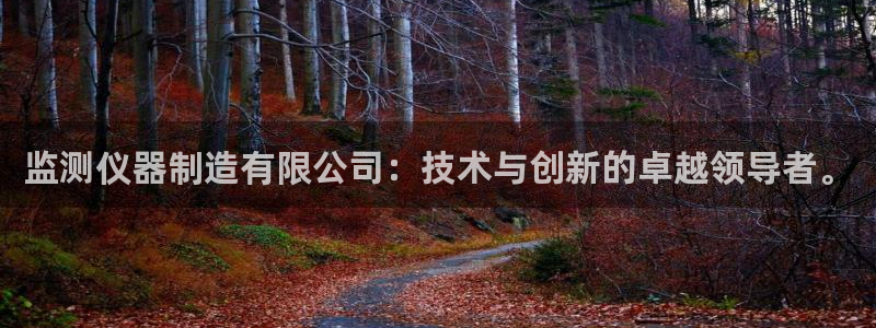 门徒娱乐盈利方法分析：监测仪器制造有限公司：技术与创新的卓越
