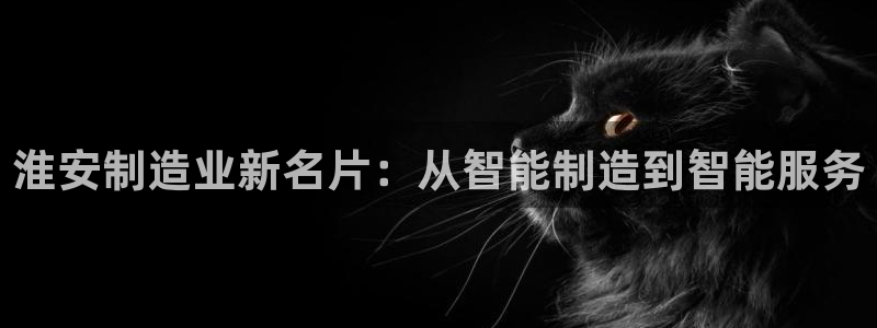 门徒娱乐是玩什么游戏的：淮安制造业新名片：从智能制造到智能服