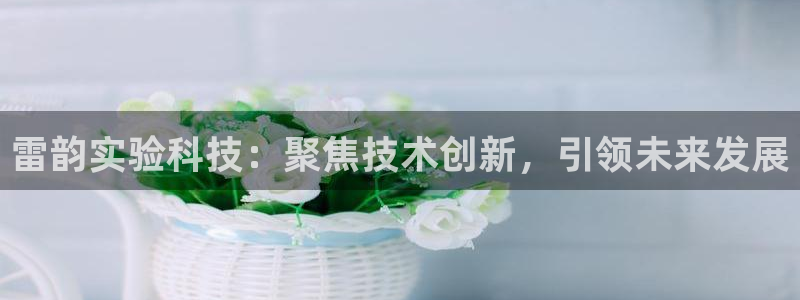 门徒娱乐属于什么系列：雷韵实验科技：聚焦技术创新，引领未来发