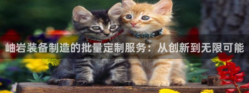 门徒娱乐系列有哪些：岫岩装备制造的批量定制服务：从创新到无限